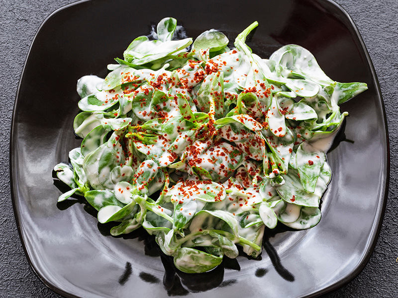 Yoğurtlu Semizotu Salatası