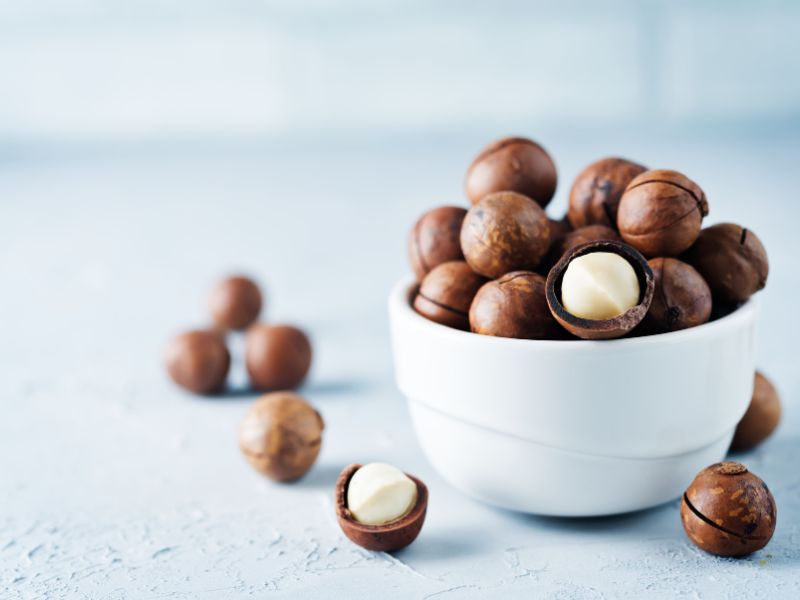 macadamia fındığı