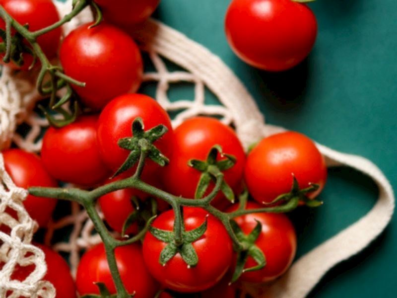 Malzemelerin tazeliği