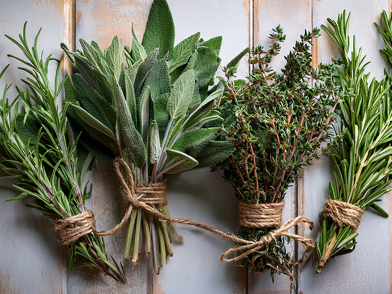 Otlar ile Aromayı Zenginleştirin