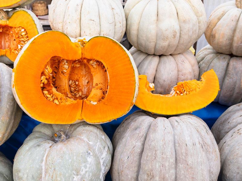 Balkabağı veya Havuç Püresi