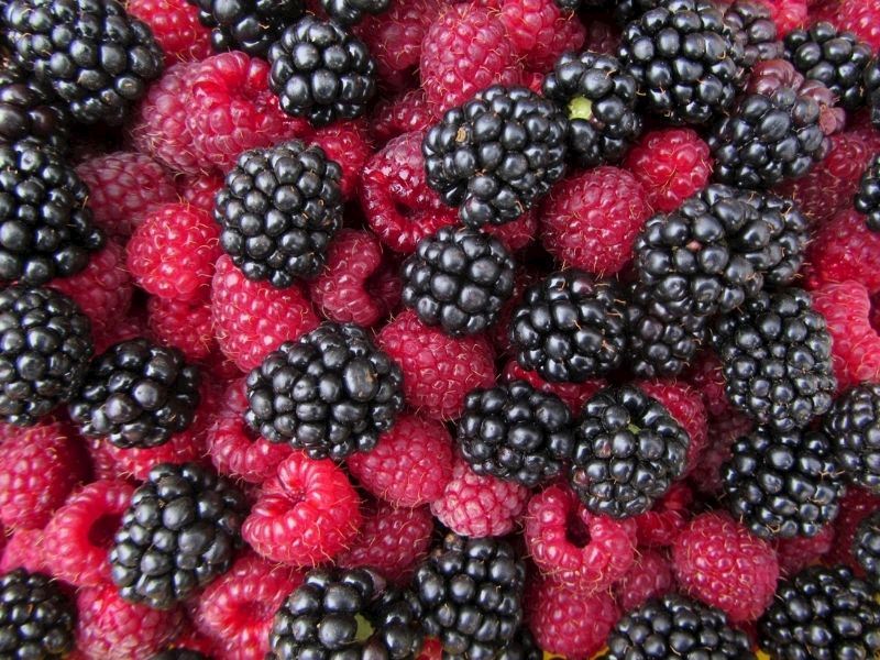 Dondurulmuş Berries (Ahududu, Yaban Mersini, Çilek)