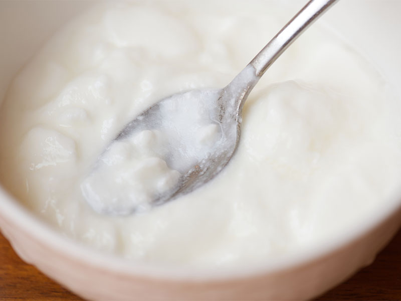 Hazır Yoğurt Mayası Kullanımı