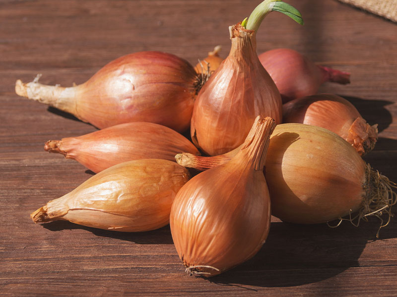 Kolay Soyma Aşaması