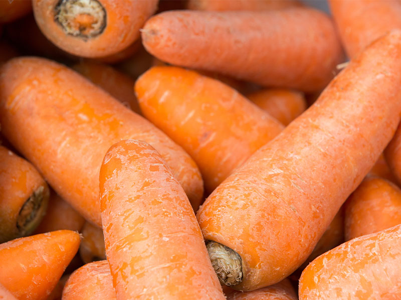 Soğuk ve Nemli Ortamda Saklama