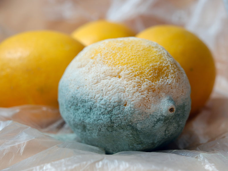 Limonları Buzdolabında Saklama