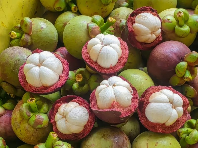 Mangosteen