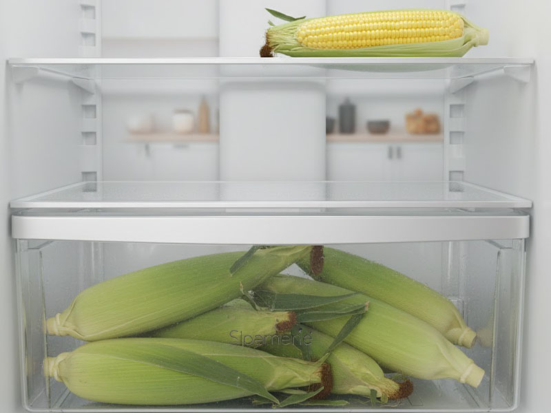 Buzdolabında Uygun Koşullar Sağlanmalıdır