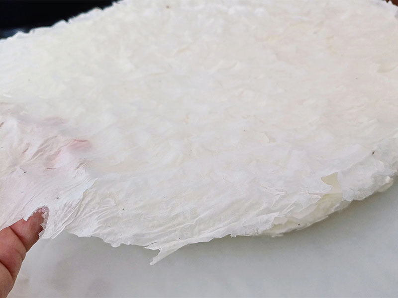 Sunum ve Son Dokunuşlar