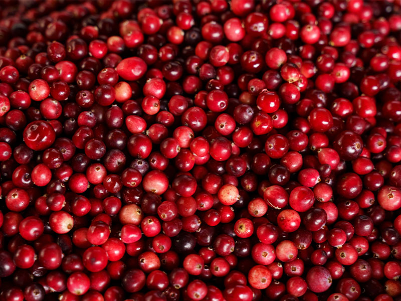 Şekerin karamelize olmasına dikkat edilmelidir