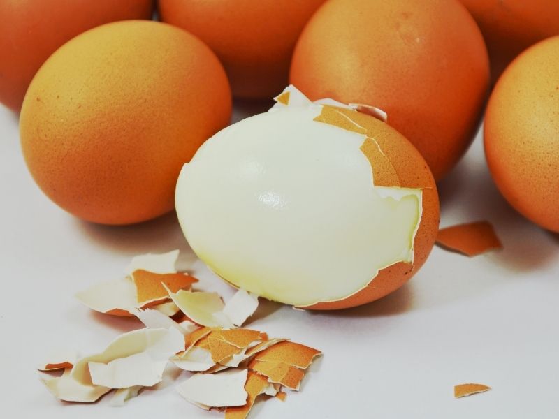 Yumurtanın İç Zarının Beyaza Sıkı Tutunması