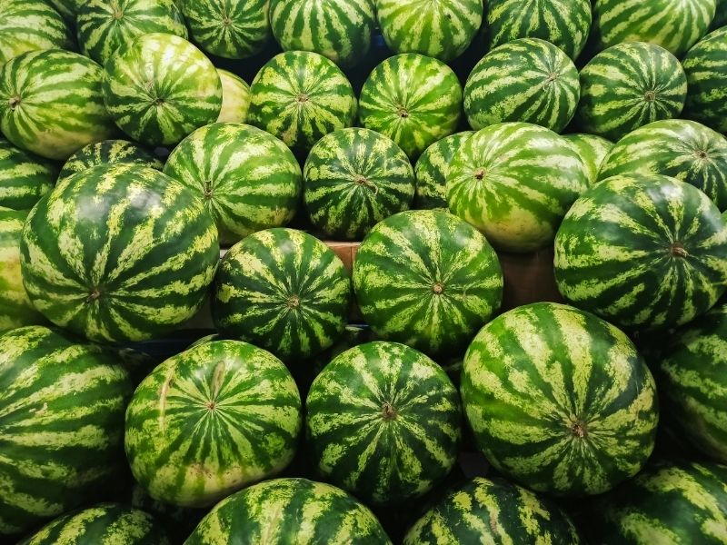 Kesilmemiş Karpuzun En Büyük Düşmanı Buymuş