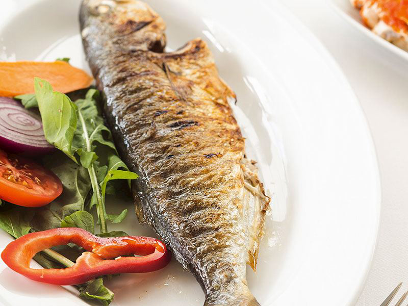 Lüfer ve Sarıkanat