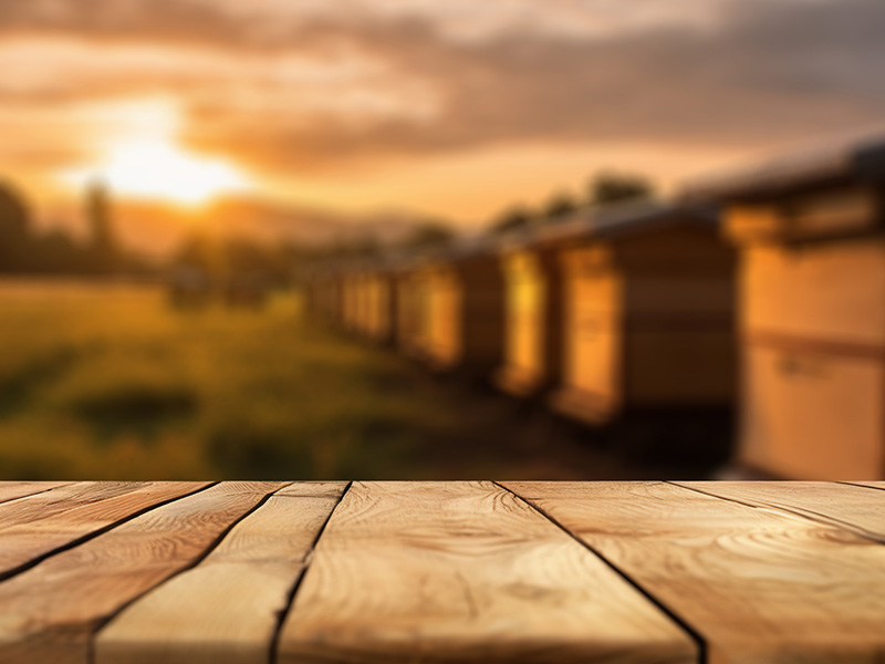 Filmlere ve Romanlara Konu Oldu