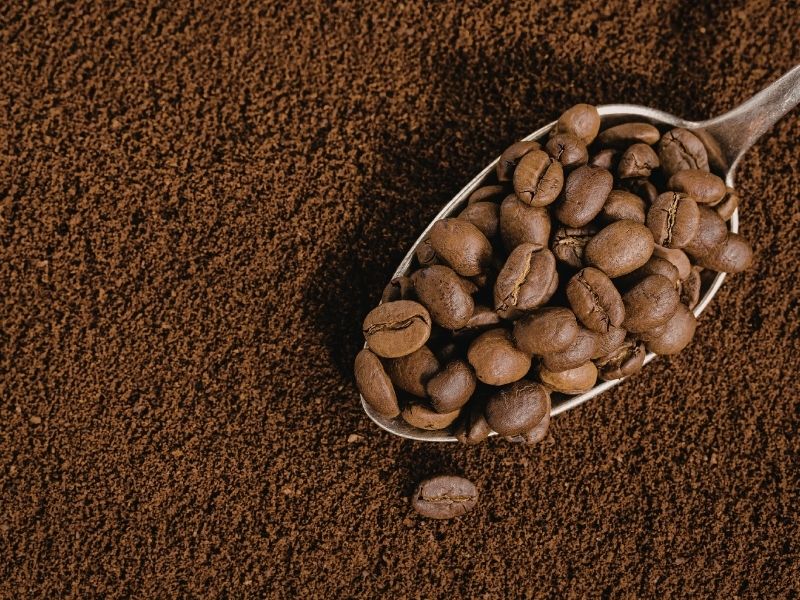 Kahve Kokuları Anında İçine Hapseder 