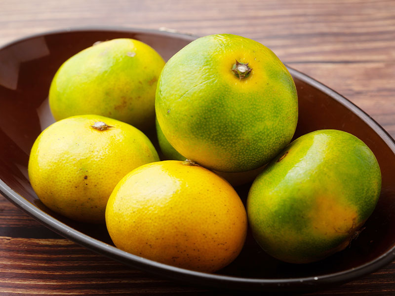 Ilık Suda Bekletme Yöntemi