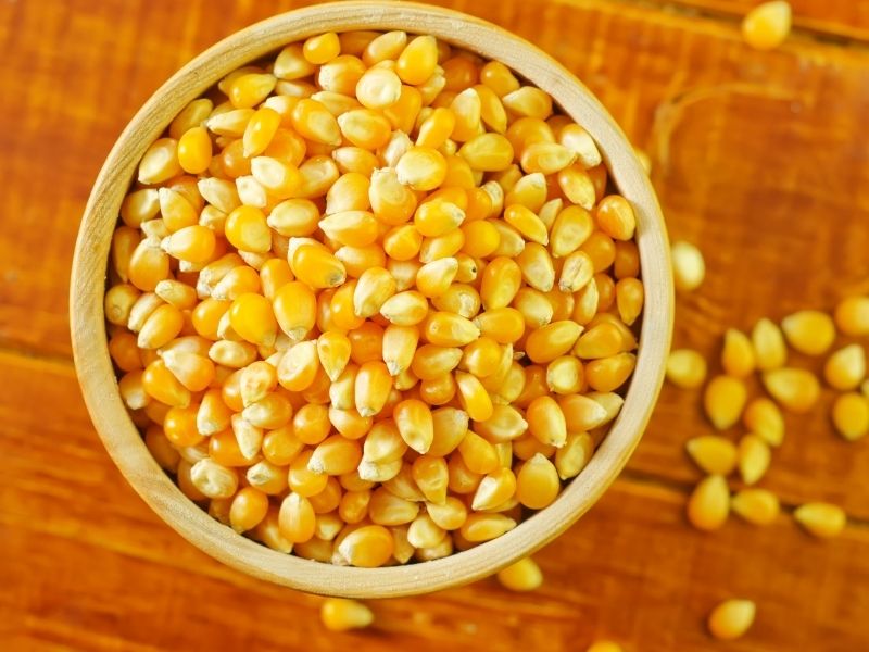 Bir Gece Önceden Suda Bekletin