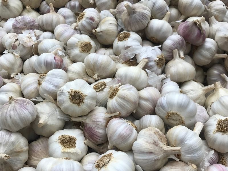Aromatik Farklar Ve Mutfaktaki Performans