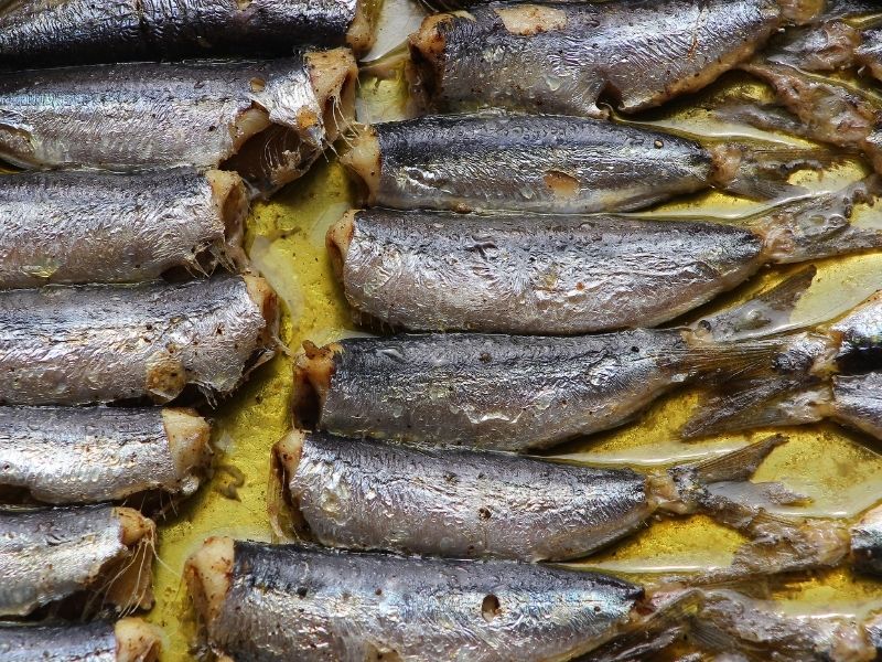 Pişirme Süresi ve Isı Kontrolü: