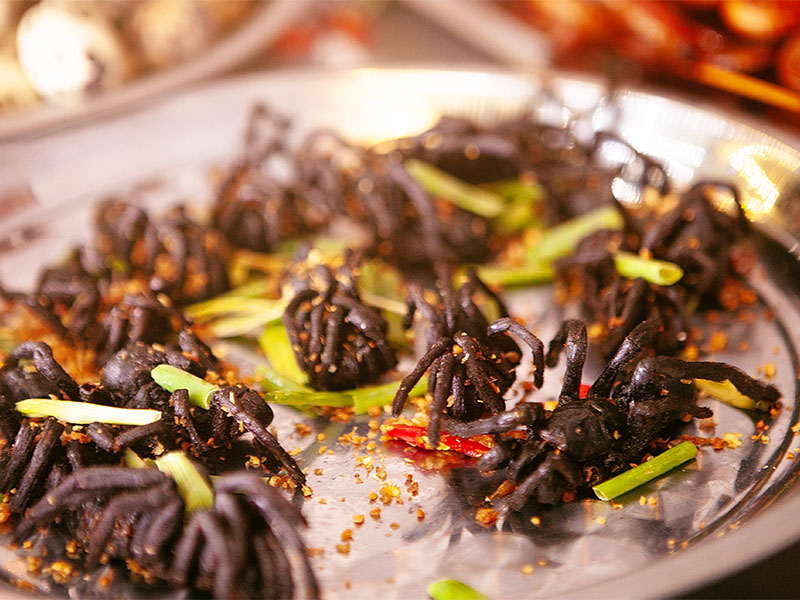 Fried Tarantulas – Kamboçya