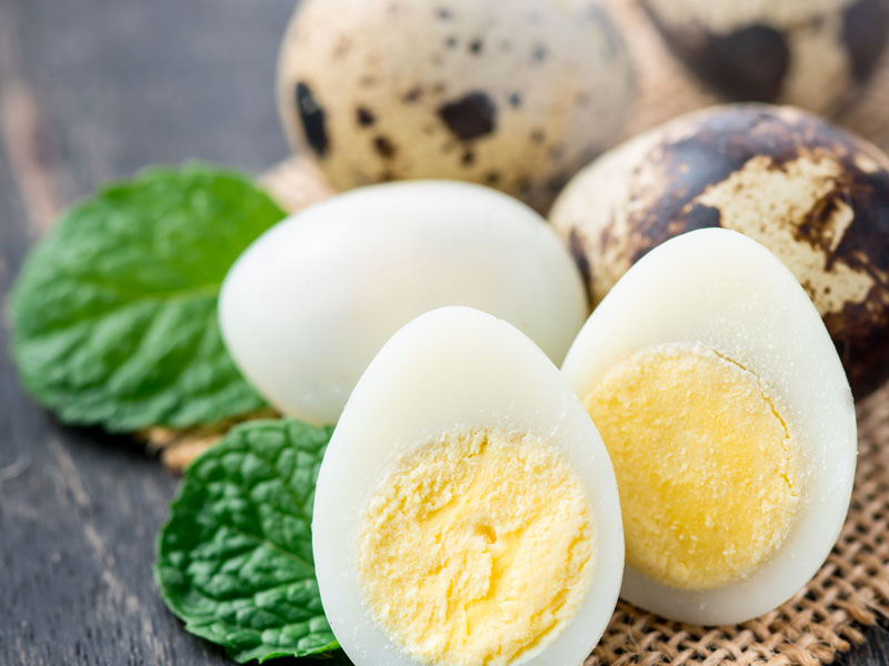 Taze yumurtayı tercih edin