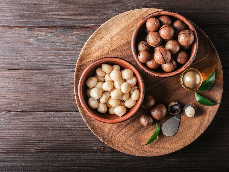 macadamia fıstığı