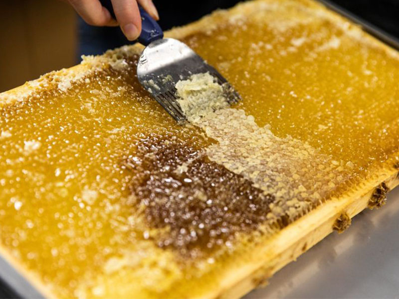 Havasız ve kapalı bir kapta tutun