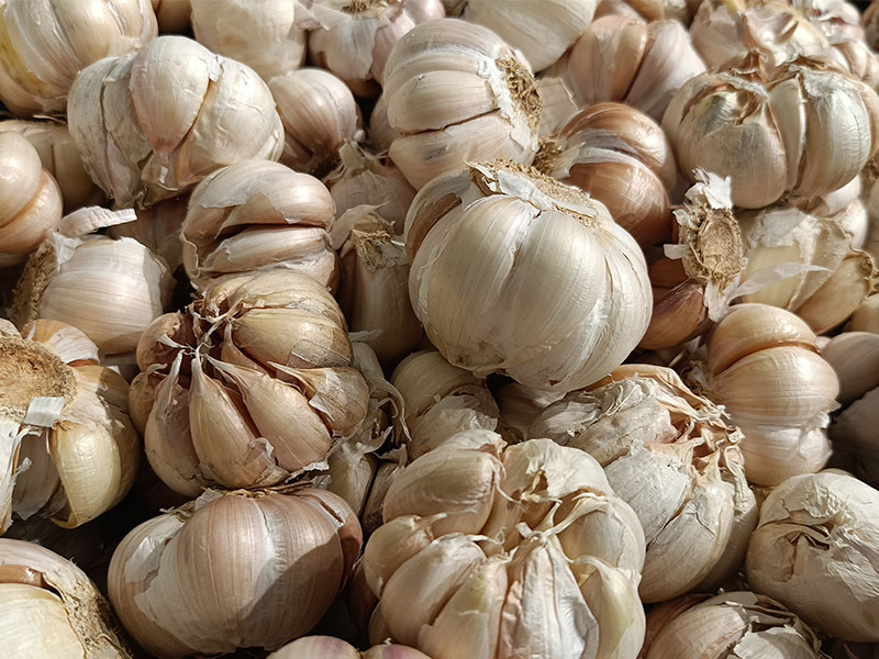 Elmayı özellikle çiğ şekilde tüketmek etkiyi artırır