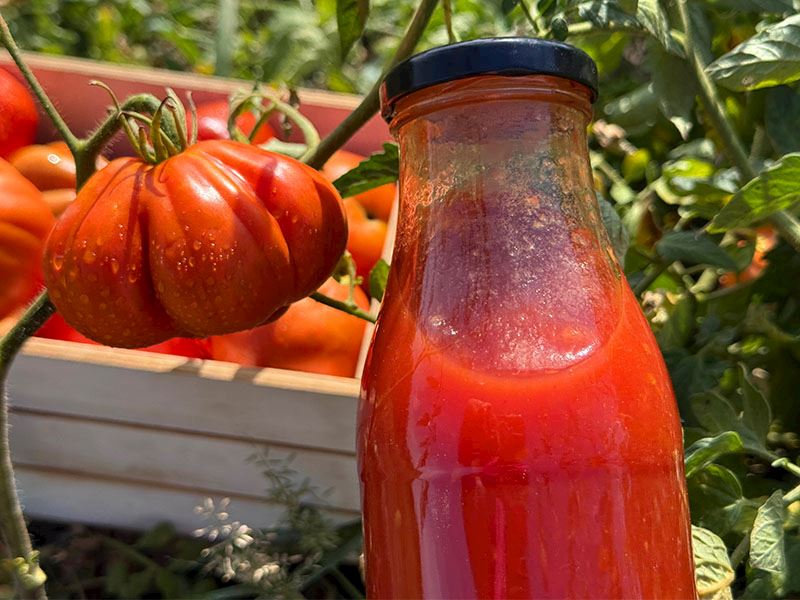 Saklama ve Pastörizasyon