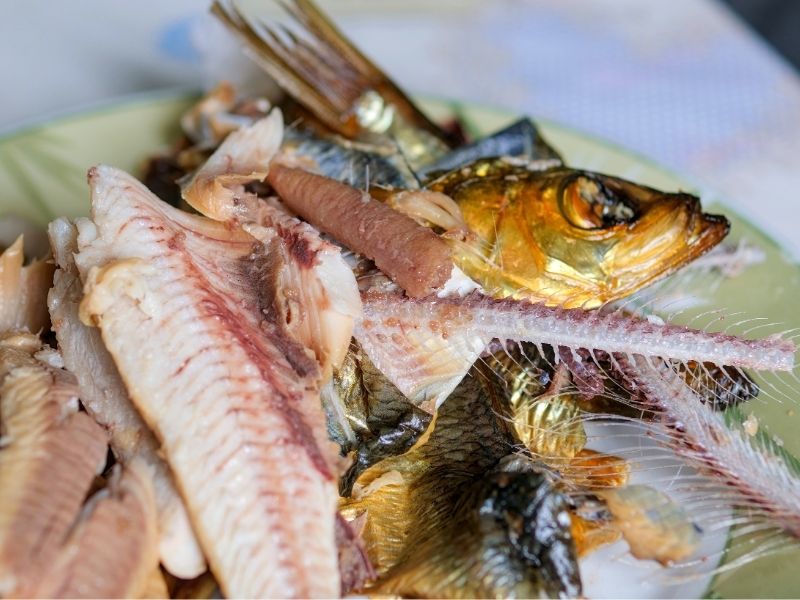 Levrek Çok Kılçıklı Bir Balık Mıdır?