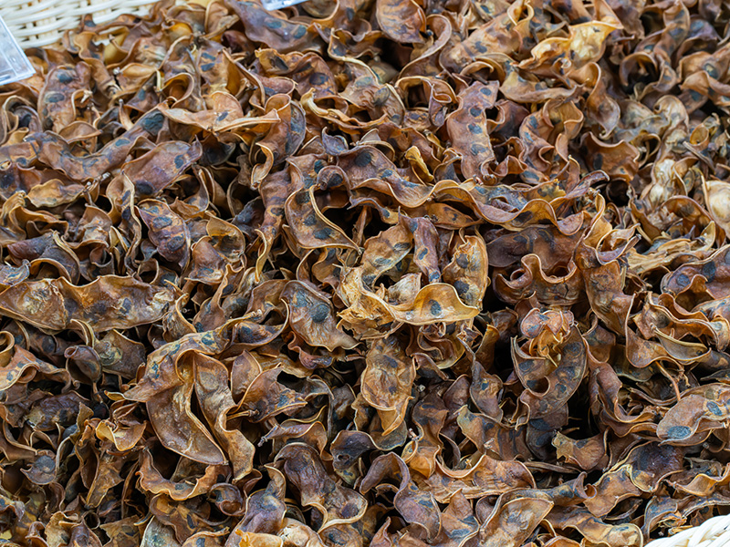 fasulye