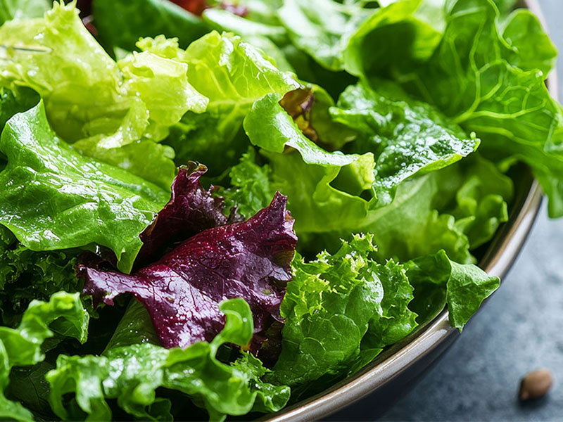 Buz Koyarak Yağı Toplama