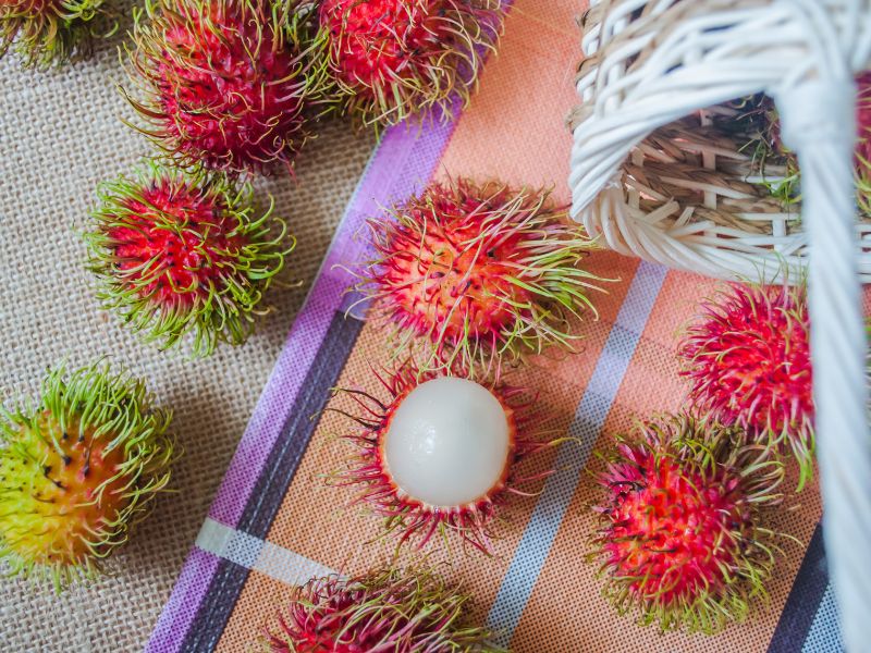 rambutan