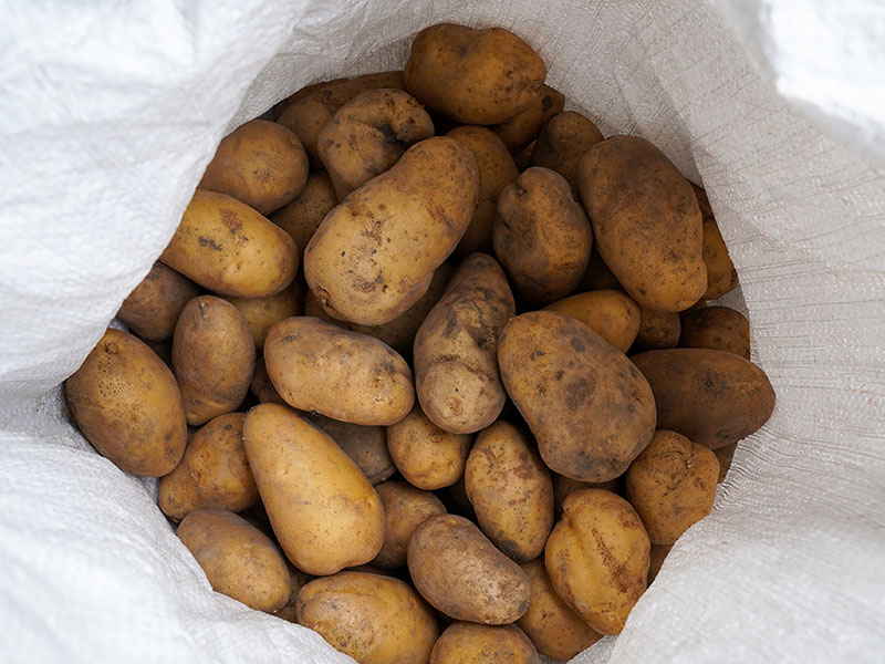 Yıkamadan Saklayın