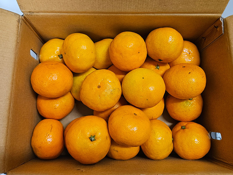 Hafifçe Yoğurma (Masaj) Tekniği