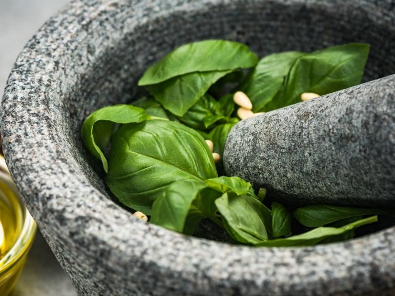 Pesto Sosun Temelini Oluşturan Adım