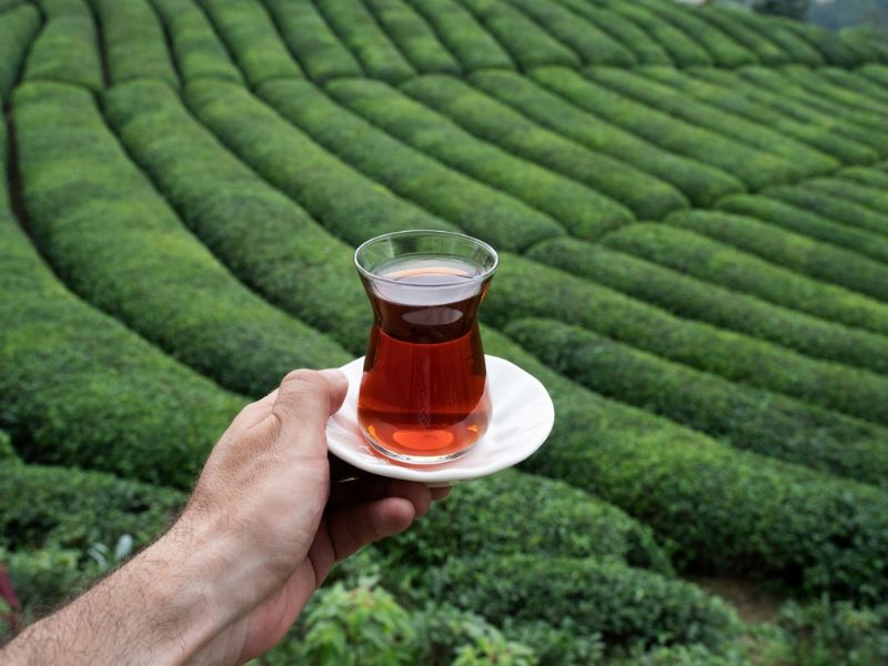 çay