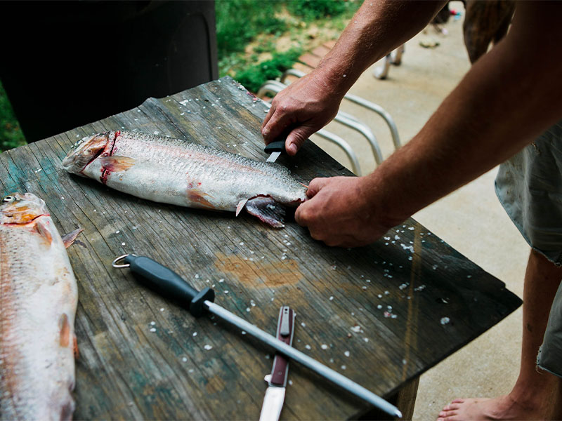 Karın Bölgesini Tek Hamlede Açın