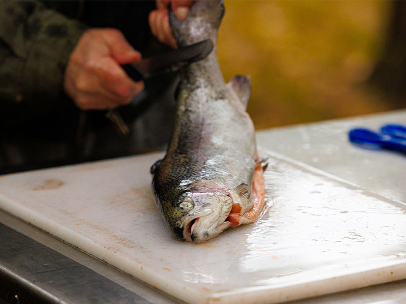 Doğru Bıçağı Seçin