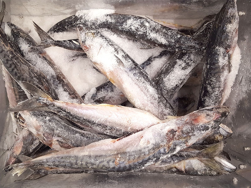 Dondurarak Uzun Süre Saklayın