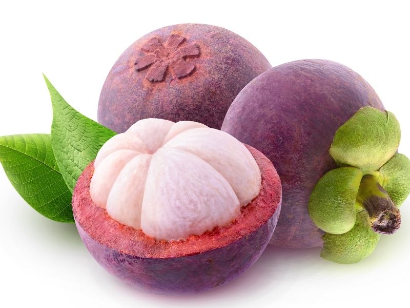 Mangosteen 