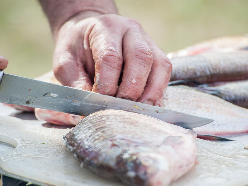 Son Temizliği Kağıt Havluyla Yapın