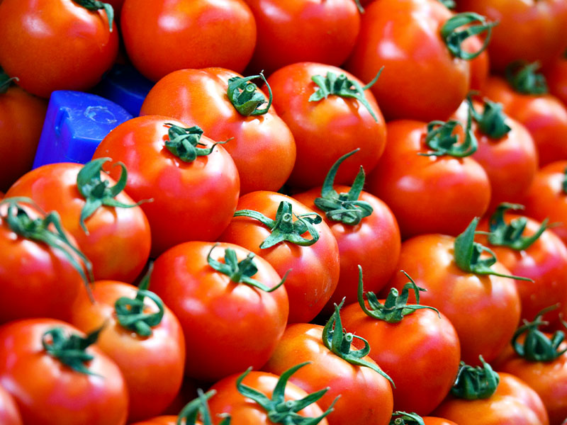Domatesin Kokusu Belirgin Olmalı