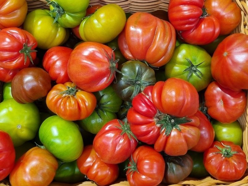Bakteri Ve Küf Oluşumuna Karşı Doğal Kalkan Oluşturuyor