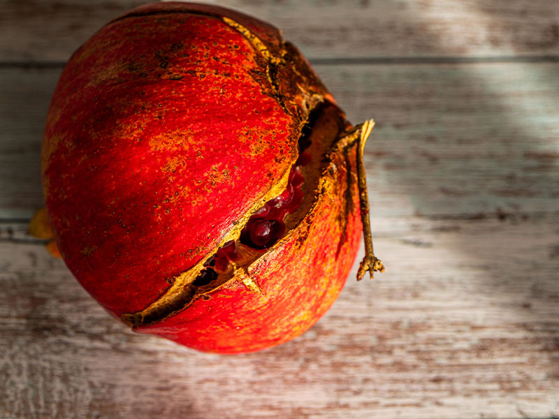 Dış görünüşüne bakmak