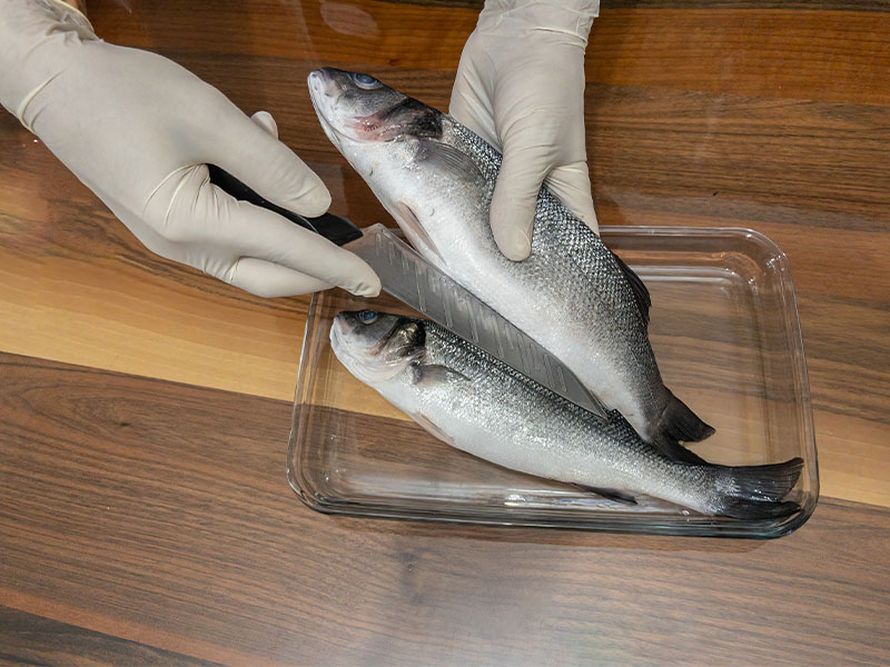 Keskin bıçak şart