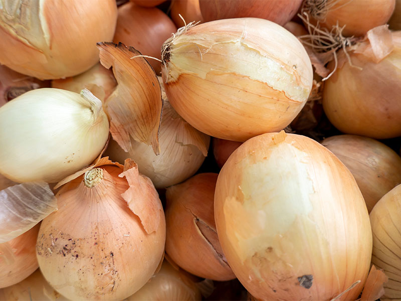 Doğru Saklama Ortamı