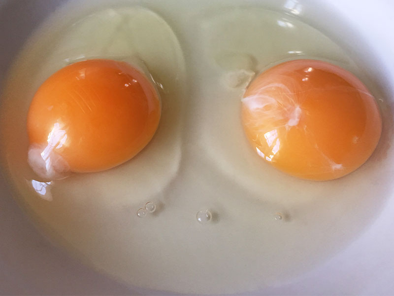 Terbiyenin Kesilmesini Önlemeye Yardımcı Olur