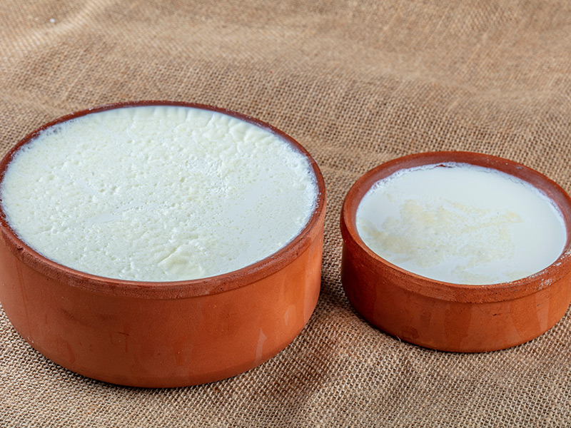 yoğurt