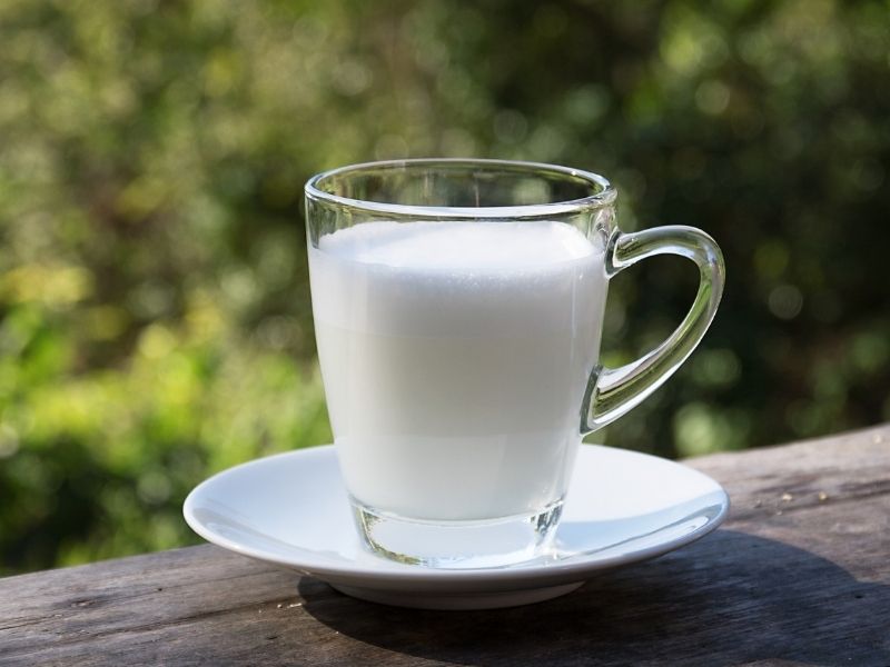 Araştırmadaki Sürpriz Detay: Yağ Oranı Mı, Protein Mi? 